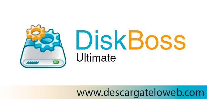 DiskBoss Ultimate + Pro 13.8.16 download the new version